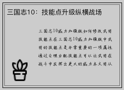 三国志10：技能点升级纵横战场
